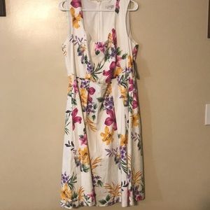 Eva Mendes Catarina White Floral Dress size 16